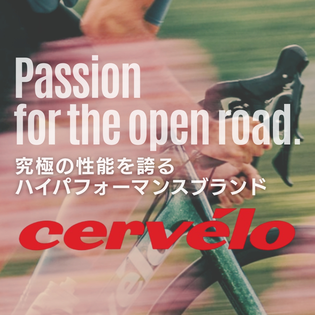 究極の性能を誇るCarveloのトップモデル３種類をご紹介！